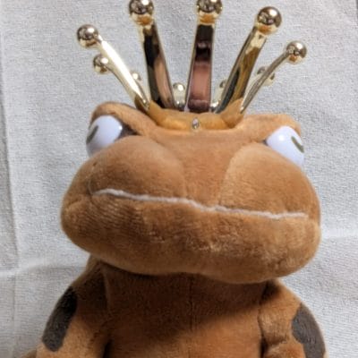 Google Pixel 9 Pro Fold カメラ
Google Pixel 9 Pro Fold の内側前面カメラでズーム撮影した写真
