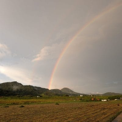 Google Pixel 9 Pro Fold カメラ
Google Pixel 9 Pro Fold で撮影した風景写真