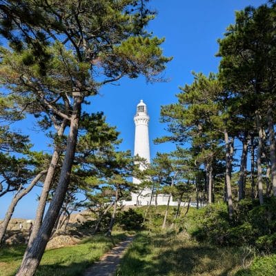 Google Pixel 9 Pro Fold カメラ
Google Pixel 9 Pro Fold で撮影した風景写真