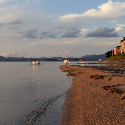 Google Pixel 9 Pro Fold カメラ
Google Pixel 9 Pro Fold でズーム撮影した風景写真