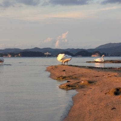 Google Pixel 9 Pro Fold カメラ
Google Pixel 9 Pro Fold でズーム撮影した風景写真