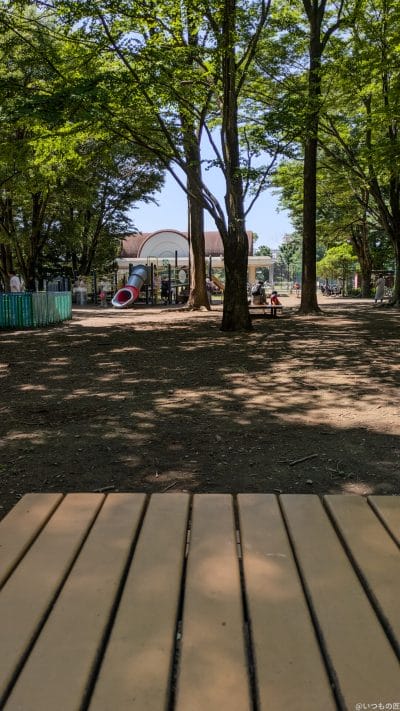 google pixel 8aで撮影した風景写真 | モバイル比較レビュー.jp Google Pixel 8a カメラ Google Pixel 8aで撮影した風景写真