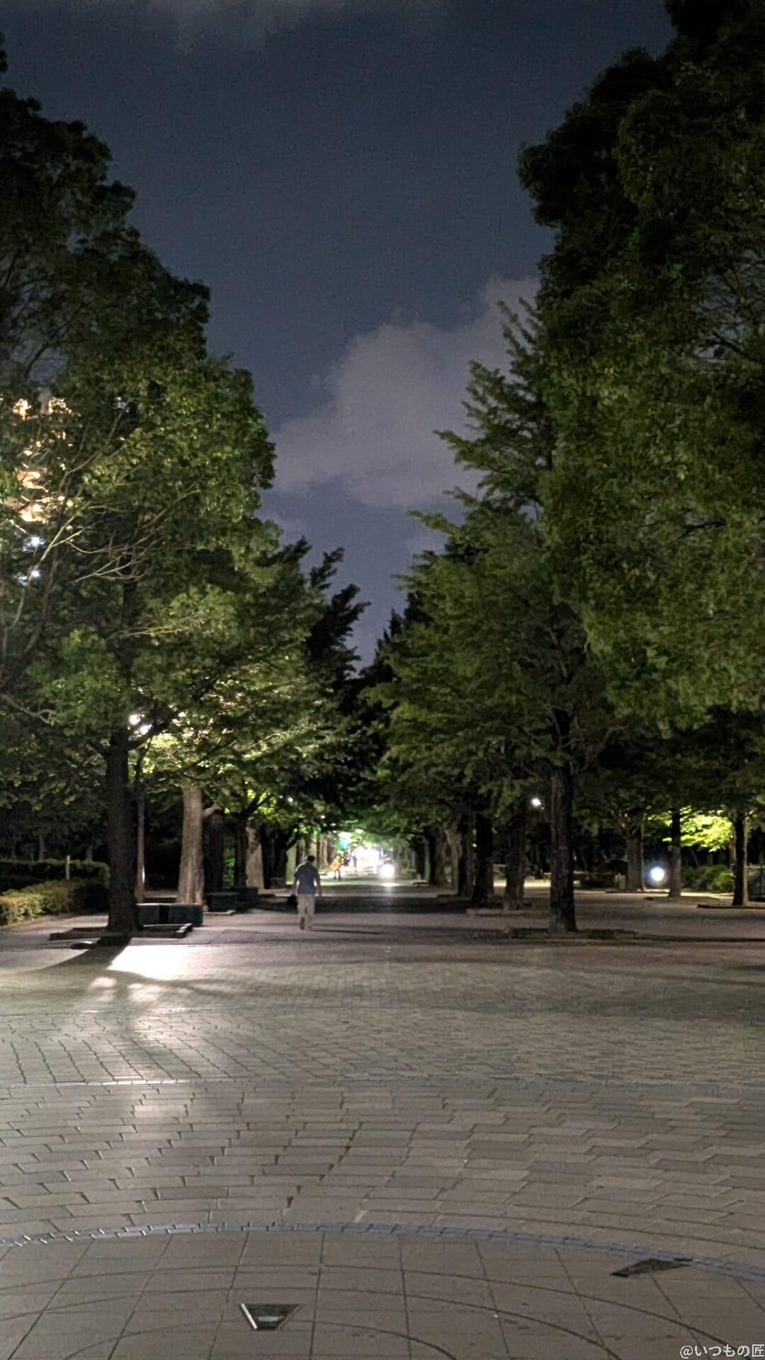 google pixel 8aの通常モードで夜間撮影した写真 | モバイル比較レビュー.jp Google Pixel 8a カメラ Google Pixel 8aの通常モードで夜間撮影した写真