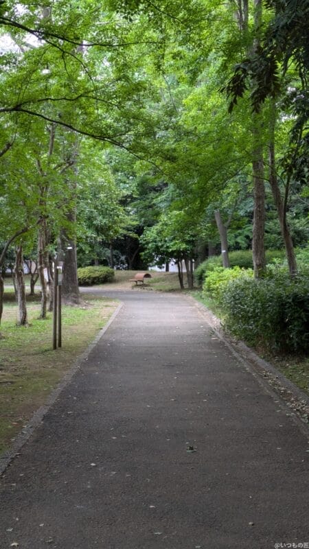 google pixel 8aで撮影した風景写真 | モバイル比較レビュー.jp Google Pixel 8a カメラ Google Pixel 8aで撮影した風景写真