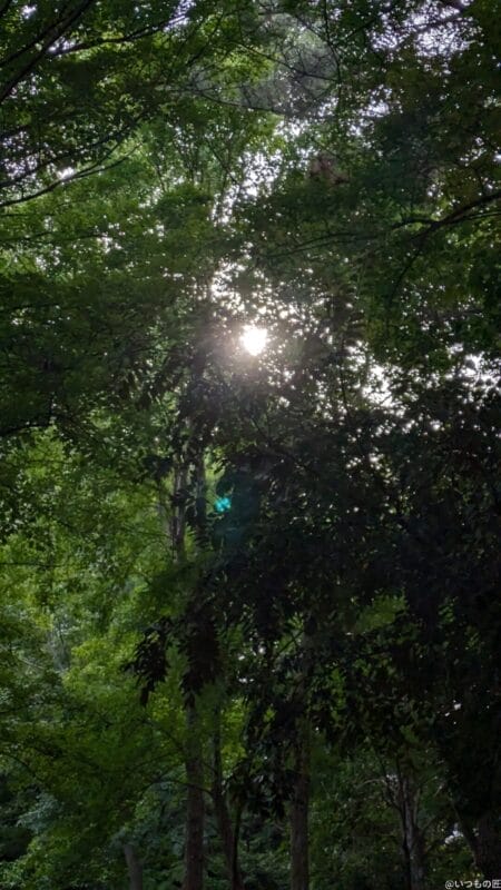 google pixel 8aで撮影した風景写真 | モバイル比較レビュー.jp Google Pixel 8a カメラ Google Pixel 8aで撮影した風景写真