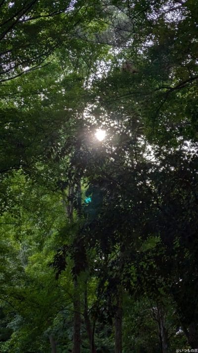 google pixel 8aで撮影した風景写真 | モバイル比較レビュー.jp Google Pixel 8a カメラ Google Pixel 8aで撮影した風景写真