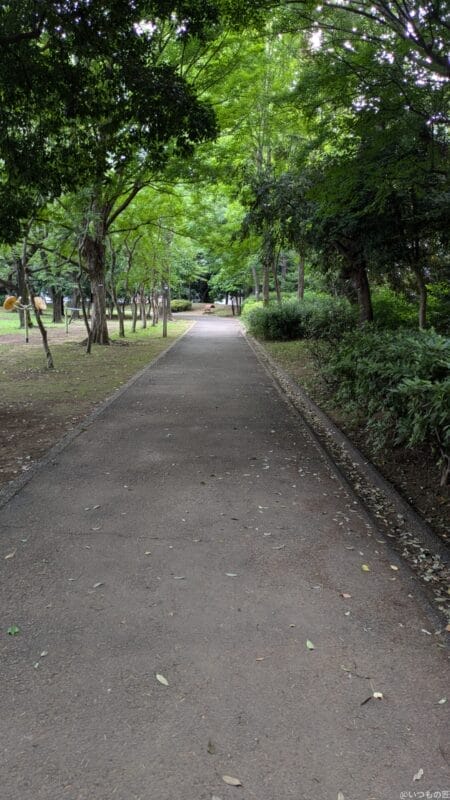 google pixel 8aで撮影した風景写真 | モバイル比較レビュー.jp Google Pixel 8a カメラ Google Pixel 8aで撮影した風景写真