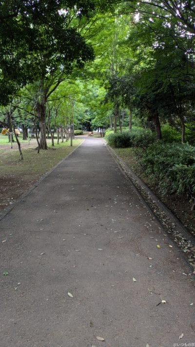 google pixel 8aで撮影した風景写真 | モバイル比較レビュー.jp Google Pixel 8a カメラ Google Pixel 8aで撮影した風景写真