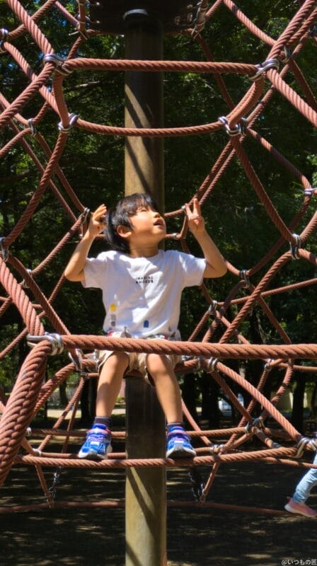 google pixel 8aで撮影したポートレート写真 | モバイル比較レビュー.jp Google Pixel 8a カメラ Google Pixel 8aで撮影したポートレート写真