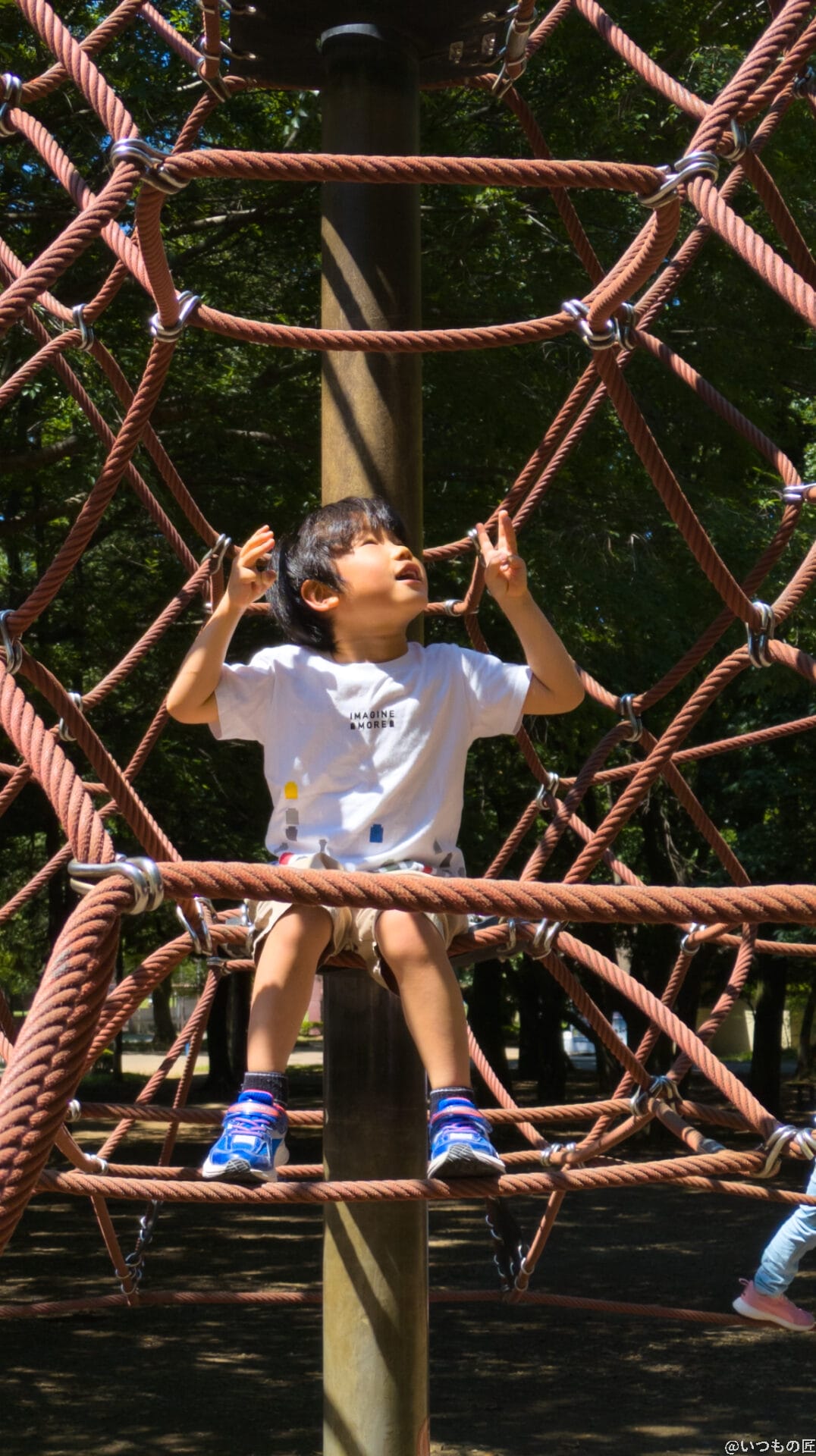 Google Pixel 8a カメラ
Google Pixel 8aで撮影したポートレート写真