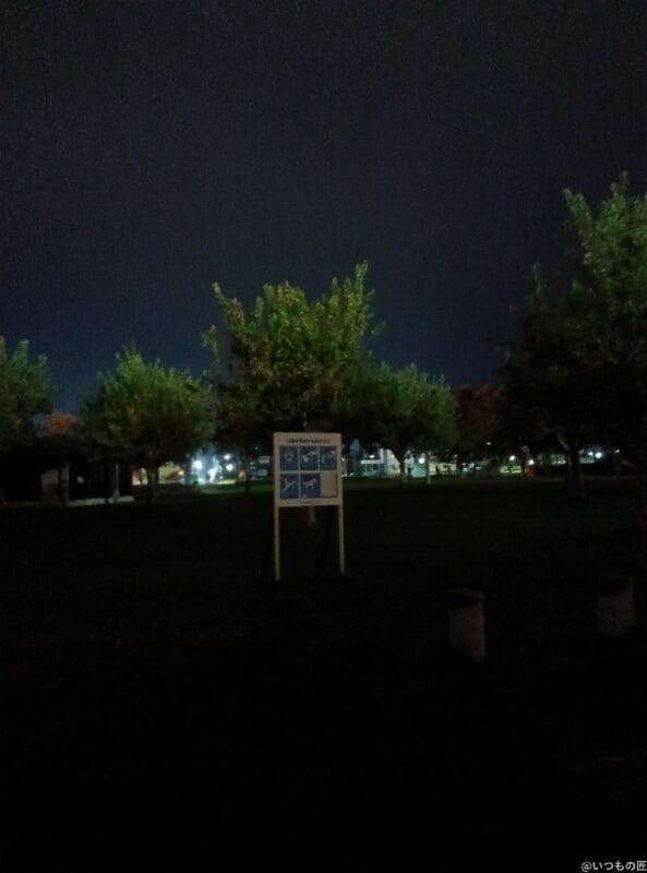 aquos wish3で暗所撮影した写真 | モバイル比較レビュー.jp AQUOS wish4 レビュー AQUOS wish3で暗所撮影した写真