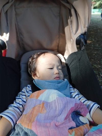 xiaomi redmi 14c のポートレート写真 | モバイル比較レビュー.jp Xiaomi Redmi 14C カメラ Xiaomi Redmi 14C のポートレート写真