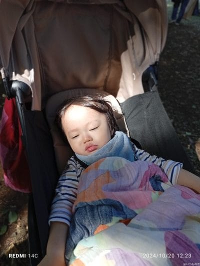 xiaomi redmi 14c のポートレート写真 | モバイル比較レビュー.jp Xiaomi Redmi 14C カメラ Xiaomi Redmi 14C のポートレート写真