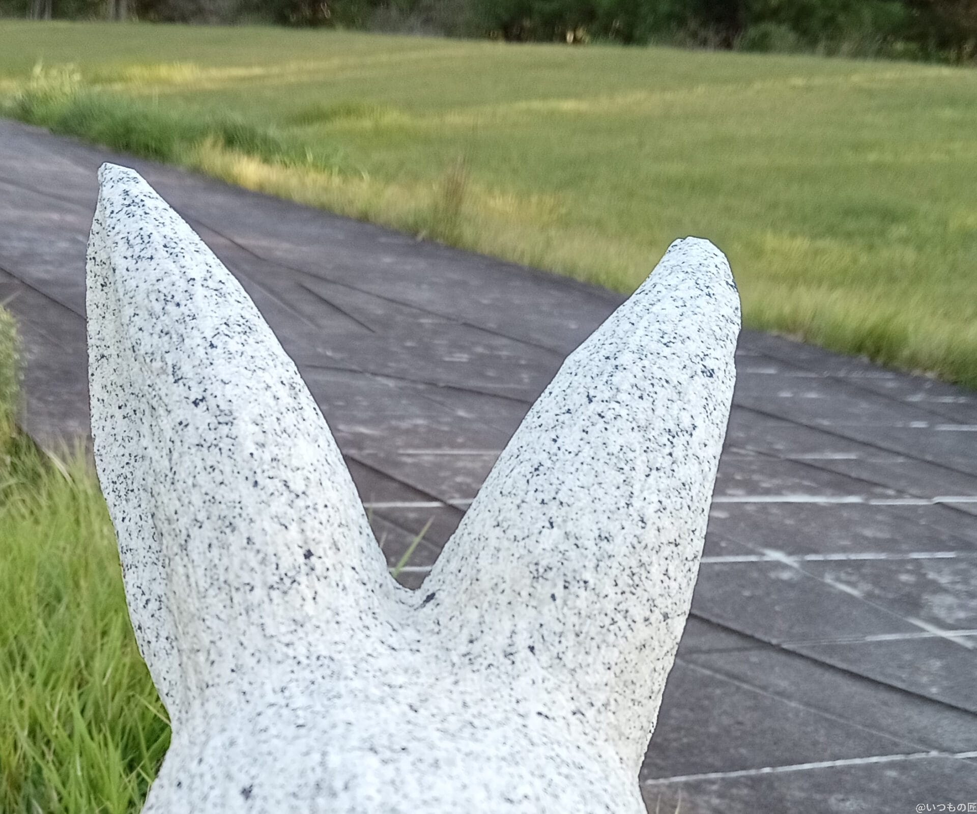 Xiaomi Redmi 14C カメラ
Xiaomi Redmi 14C インカメラで撮影した写真
