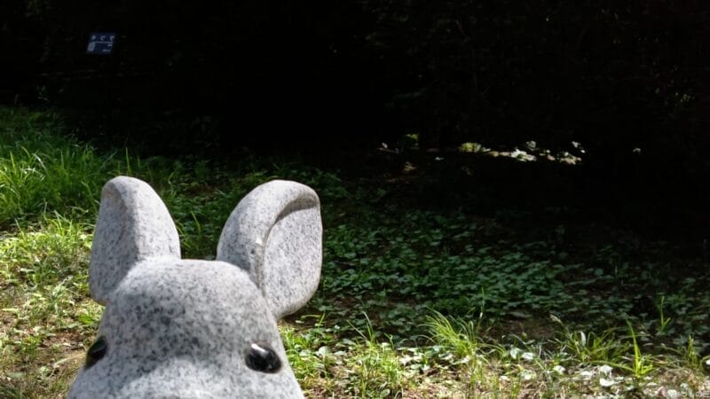 aquos wish4 インカメラで撮影した写真 | モバイル比較レビュー.jp AQUOS wish4 レビュー AQUOS wish4 インカメラで撮影した写真