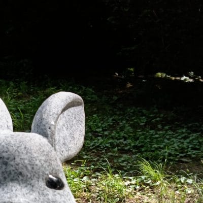 aquos wish4 インカメラで撮影した写真 | モバイル比較レビュー.jp AQUOS wish4 レビュー AQUOS wish4 インカメラで撮影した写真