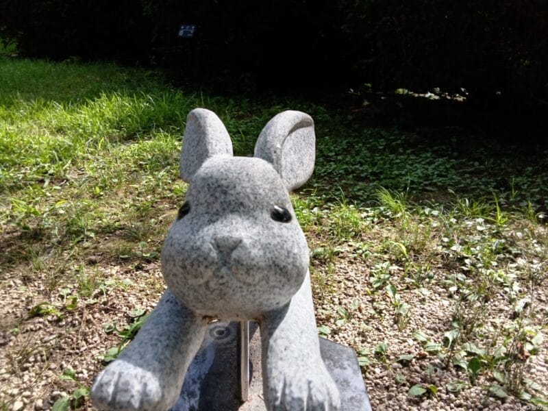 aquos wish4 インカメラで撮影した写真 | モバイル比較レビュー.jp AQUOS wish4 レビュー AQUOS wish4 インカメラで撮影した写真