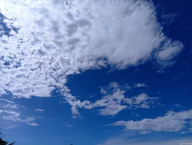 aquos wish4で撮影した風景写真 | モバイル比較レビュー.jp AQUOS wish4 レビュー AQUOS wish4で撮影した風景写真