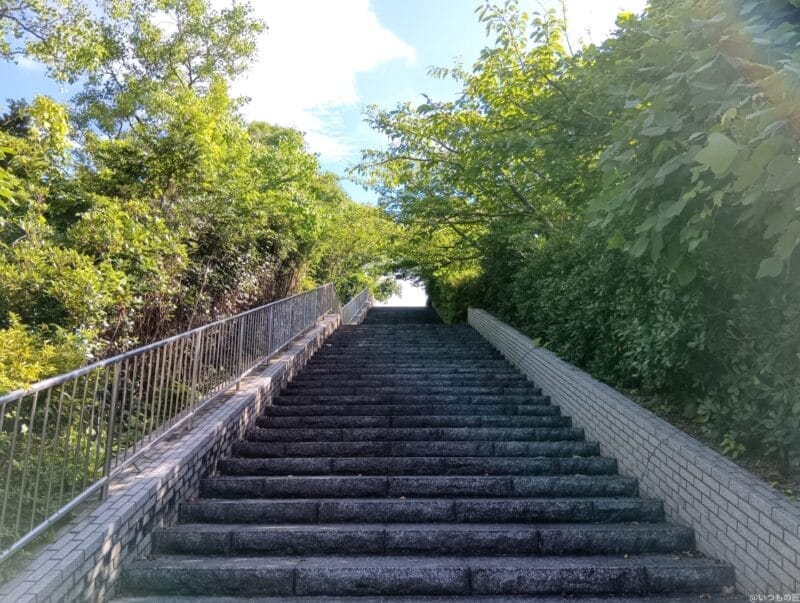 aquos wish4で撮影した風景写真 | モバイル比較レビュー.jp Xiaomi Redmi 14C カメラ AQUOS wish4で撮影した風景写真