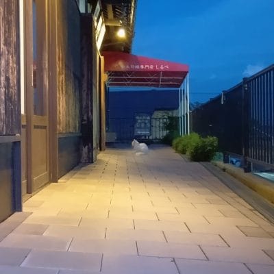 aquos wish4で撮影した夜景写真 | モバイル比較レビュー.jp AQUOS wish4 レビュー AQUOS wish4で撮影した夜景写真