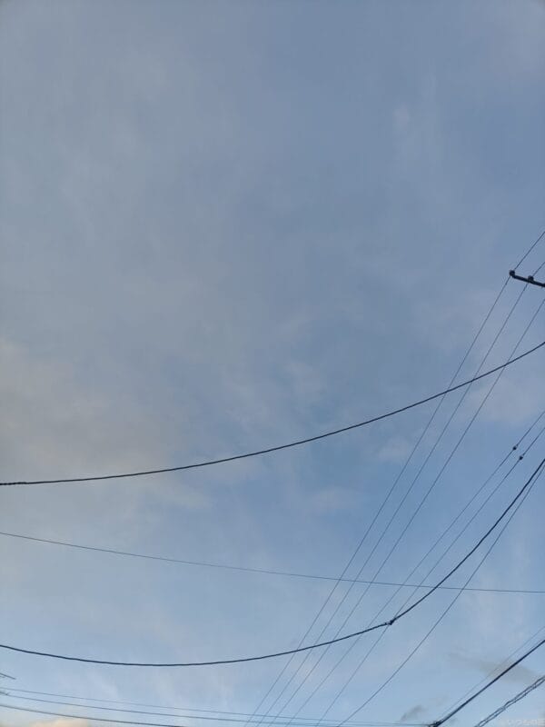 oppo reno11 a で撮影した風景写真 | モバイル比較レビュー.jp OPPO Reno11 A レビュー OPPO Reno11 A で撮影した風景写真