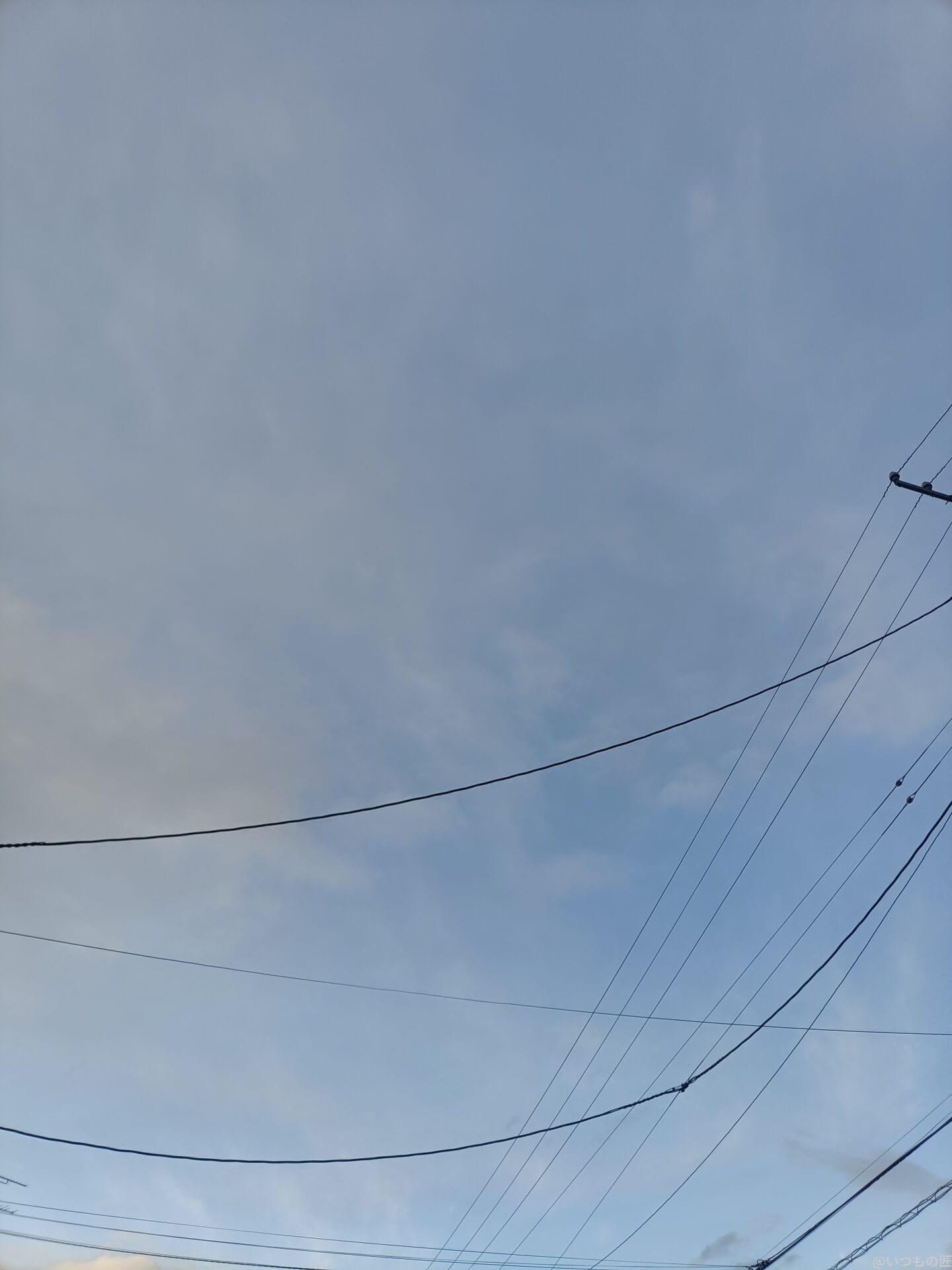 oppo reno11 a で撮影した風景写真 | モバイル比較レビュー.jp OPPO Reno11 A レビュー OPPO Reno11 A で撮影した風景写真