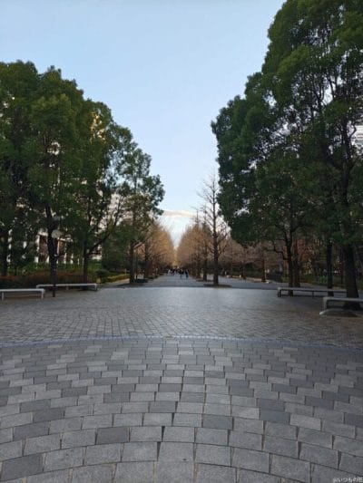 aquos r9 pro で撮影した風景写真 | モバイル比較レビュー.jp AQUOS R9 pro カメラ AQUOS R9 pro で撮影した風景写真