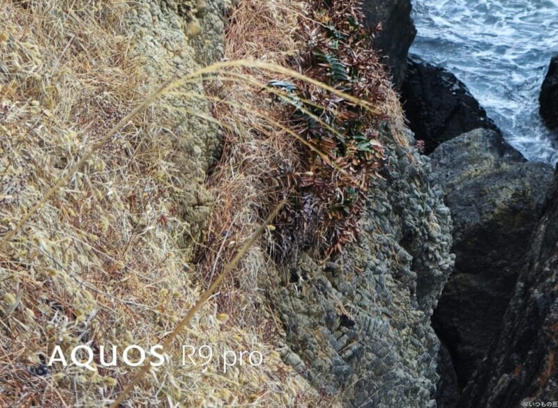 AQUOS R9 pro カメラ AQUOS R9 proで撮影した風景写真