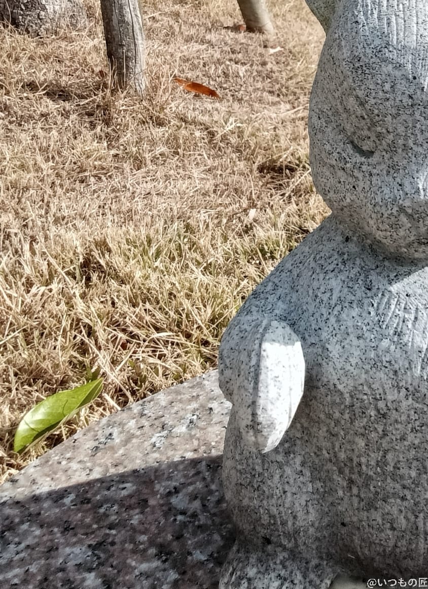 OPPO A3 5G カメラ OPPO A3 5G インカメラで撮影した写真