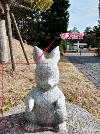 oppo a3 5g インカメラで撮影した写真 | モバイル比較レビュー.jp OPPO A3 5G カメラ OPPO A3 5G インカメラでズ撮影した写真