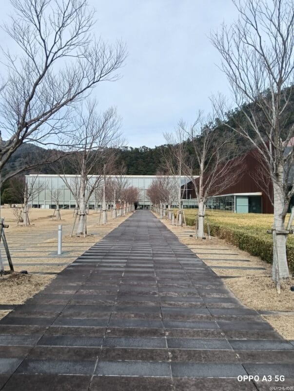 OPPO A3 5G カメラ OPPO A3 5G カメラで撮影した風景写真