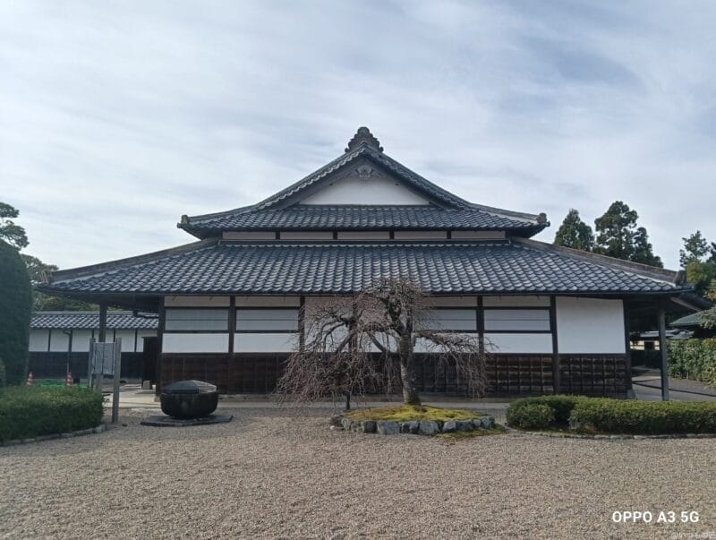 oppo a3 5g カメラで撮影した風景写真 | モバイル比較レビュー.jp OPPO A3 5G カメラ OPPO A3 5G カメラで撮影した風景写真