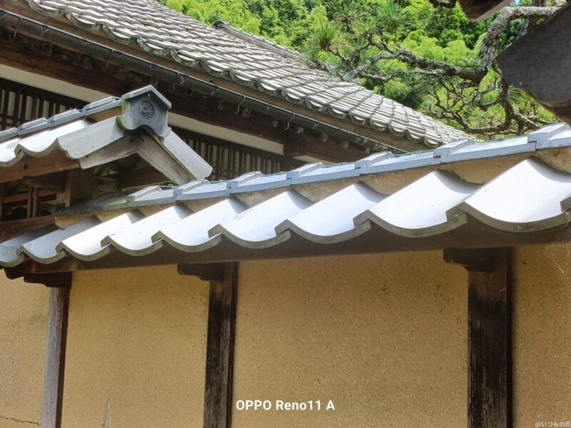 oppo reno11 a カメラで撮影した風景写真 | モバイル比較レビュー.jp OPPO A3 5G カメラ OPPO Reno11 A カメラで撮影した風景写真