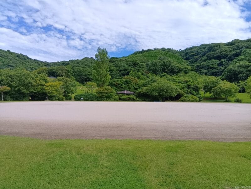 aquos wish4 カメラで撮影した風景写真 | モバイル比較レビュー.jp moto g64 5G カメラ AQUOS wish4 カメラで撮影した風景写真