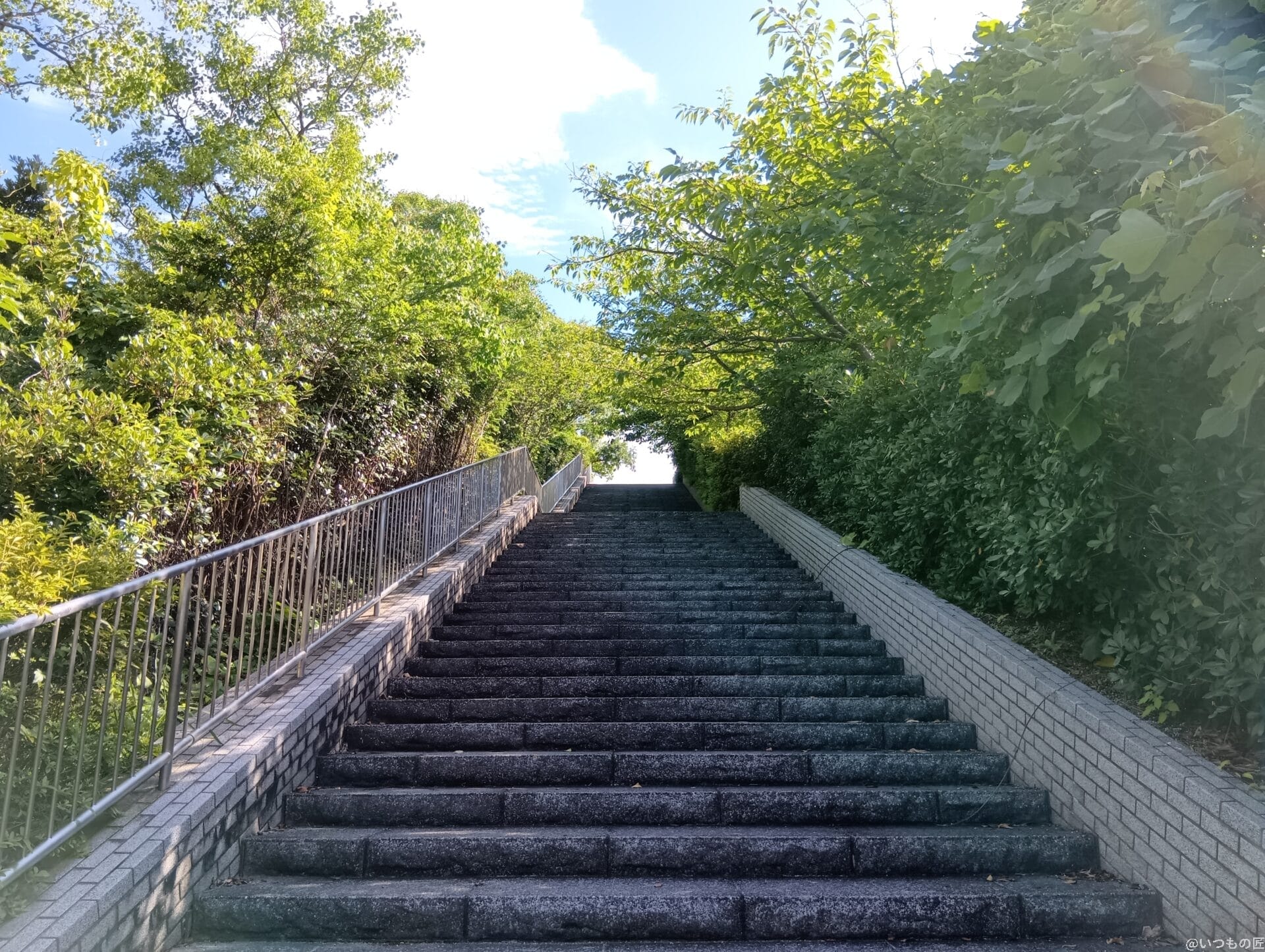 moto g64 5G カメラ
AQUOS wish4 カメラで撮影した風景写真