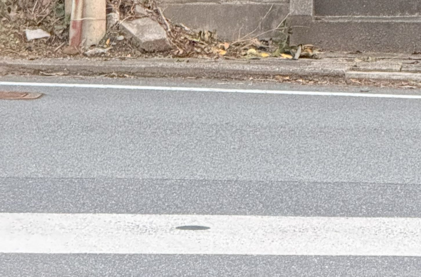 iphone 16 pro maxで撮影した風景写真 | モバイル比較レビュー.jp AQUOS R9 pro カメラ iPhone 16 Pro MAXで撮影した風景写真