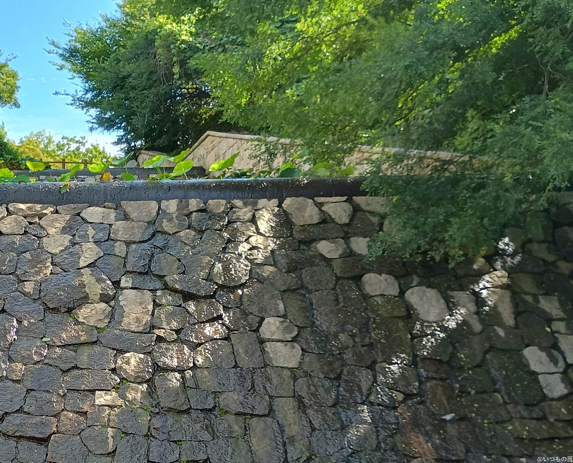 moto g64 5g カメラでhdr撮影した風景写真 | モバイル比較レビュー.jp moto g64 5G カメラ moto g64 5G カメラでHDR撮影した風景写真