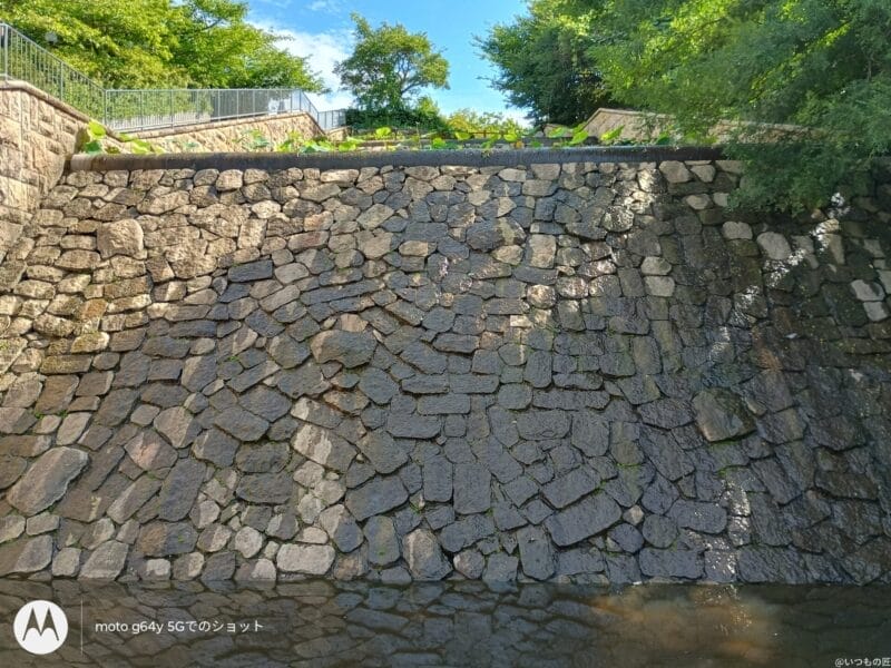 moto g64 5g カメラでhdr撮影した写真 | モバイル比較レビュー.jp moto g64 5G カメラ moto g64 5G カメラでHDR撮影した写真