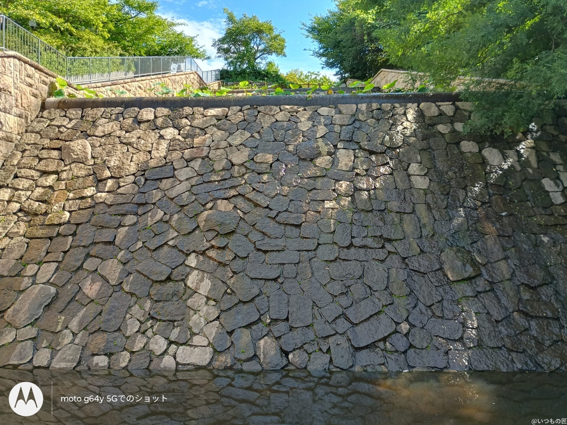 moto g64 5g カメラでhdr撮影した写真 | モバイル比較レビュー.jp moto g64 5G カメラ moto g64 5G カメラでHDR撮影した写真