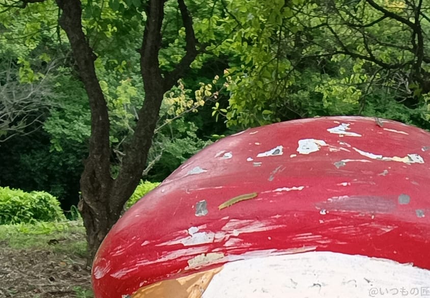 moto g64 5g インカメラで撮影した写真 | モバイル比較レビュー.jp moto g64 5G カメラ moto g64 5G インカメラで撮影した写真