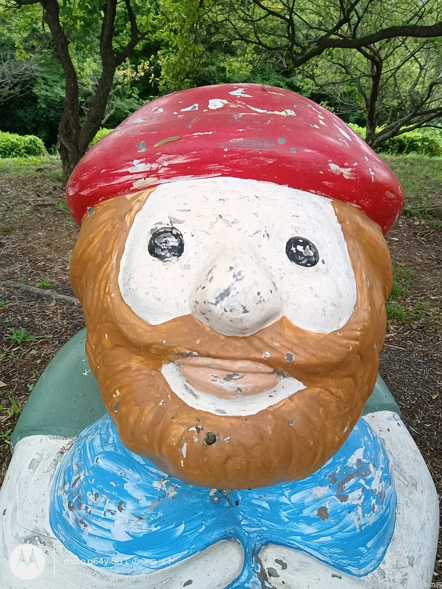 moto g64 5G カメラ
moto g64 5G インカメラで撮影した写真