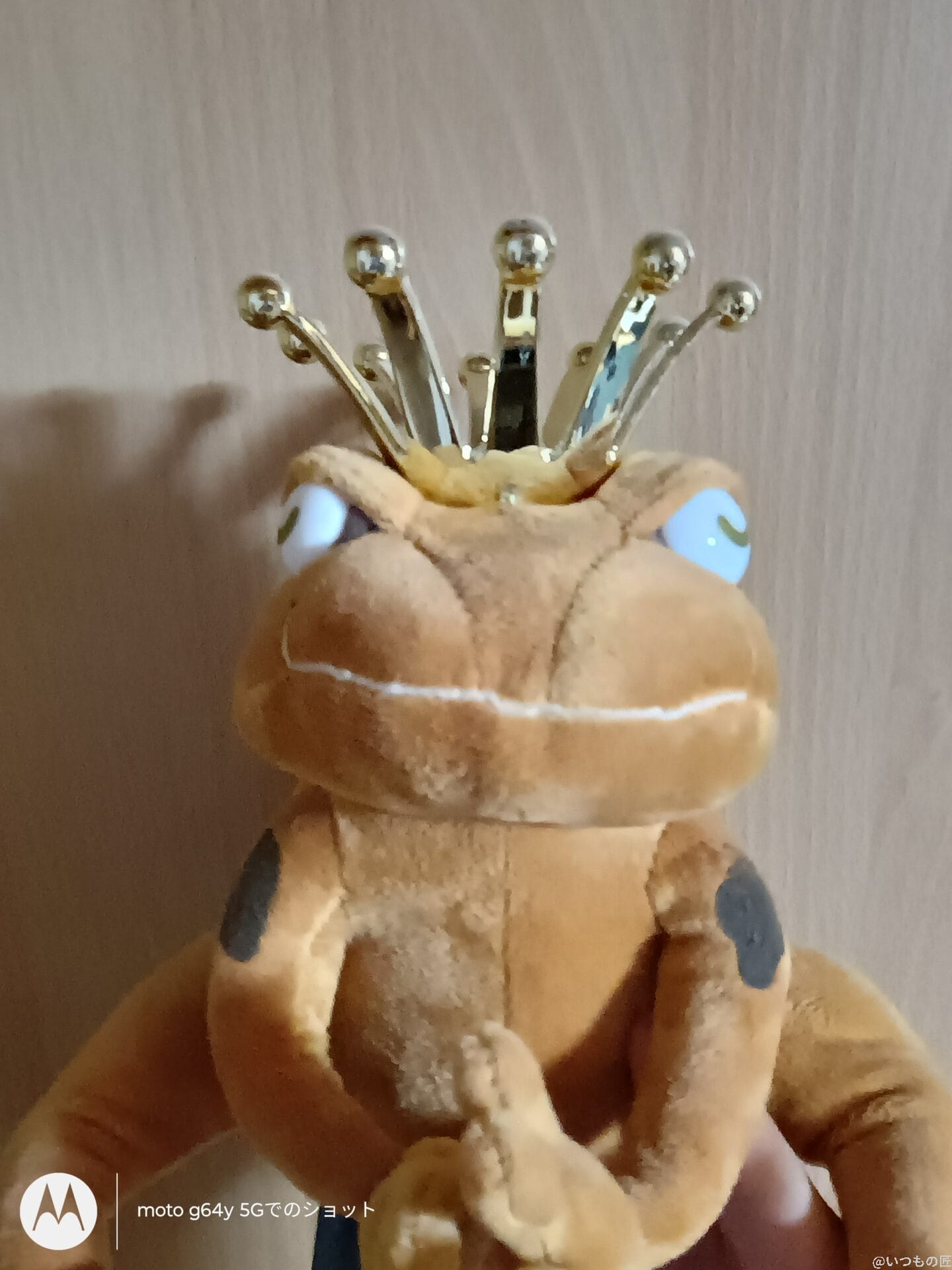 moto g64 5g インカメラで撮影した写真 | モバイル比較レビュー.jp moto g64 5G カメラ moto g64 5G インカメラで撮影した写真