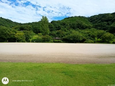 moto g64 5g カメラで撮影した風景写真 | モバイル比較レビュー.jp moto g64 5G カメラ moto g64 5G カメラで撮影した風景写真