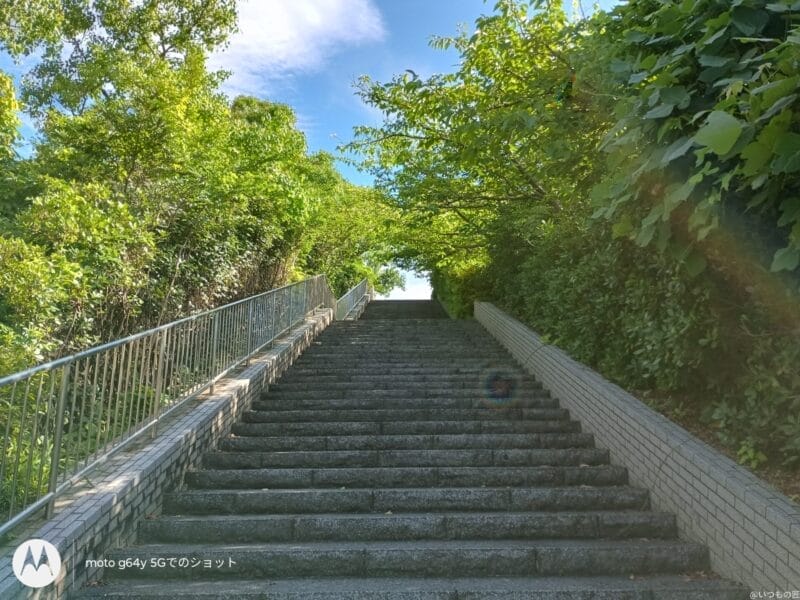 moto g64 5g カメラで撮影した風景写真 | モバイル比較レビュー.jp moto g64 5G カメラ moto g64 5G カメラで撮影した風景写真
