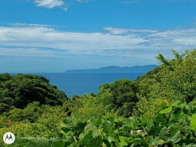 moto g64 5g カメラで撮影した風景写真 | モバイル比較レビュー.jp moto g64 5G カメラ moto g64 5G カメラで撮影した風景写真