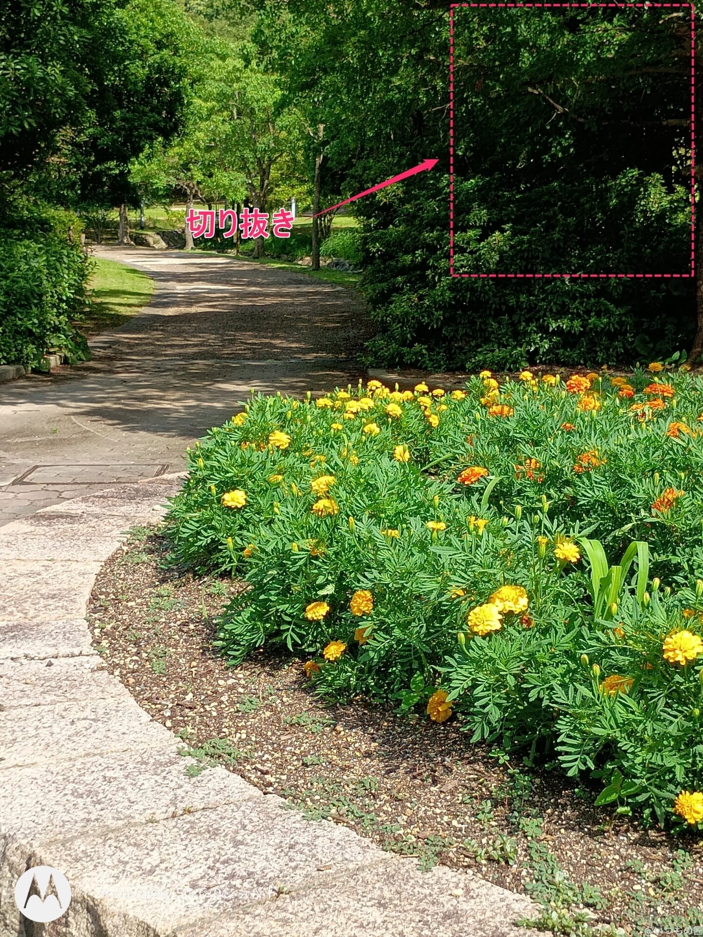 moto g64 5G カメラ
moto g64 5G カメラで撮影した風景写真