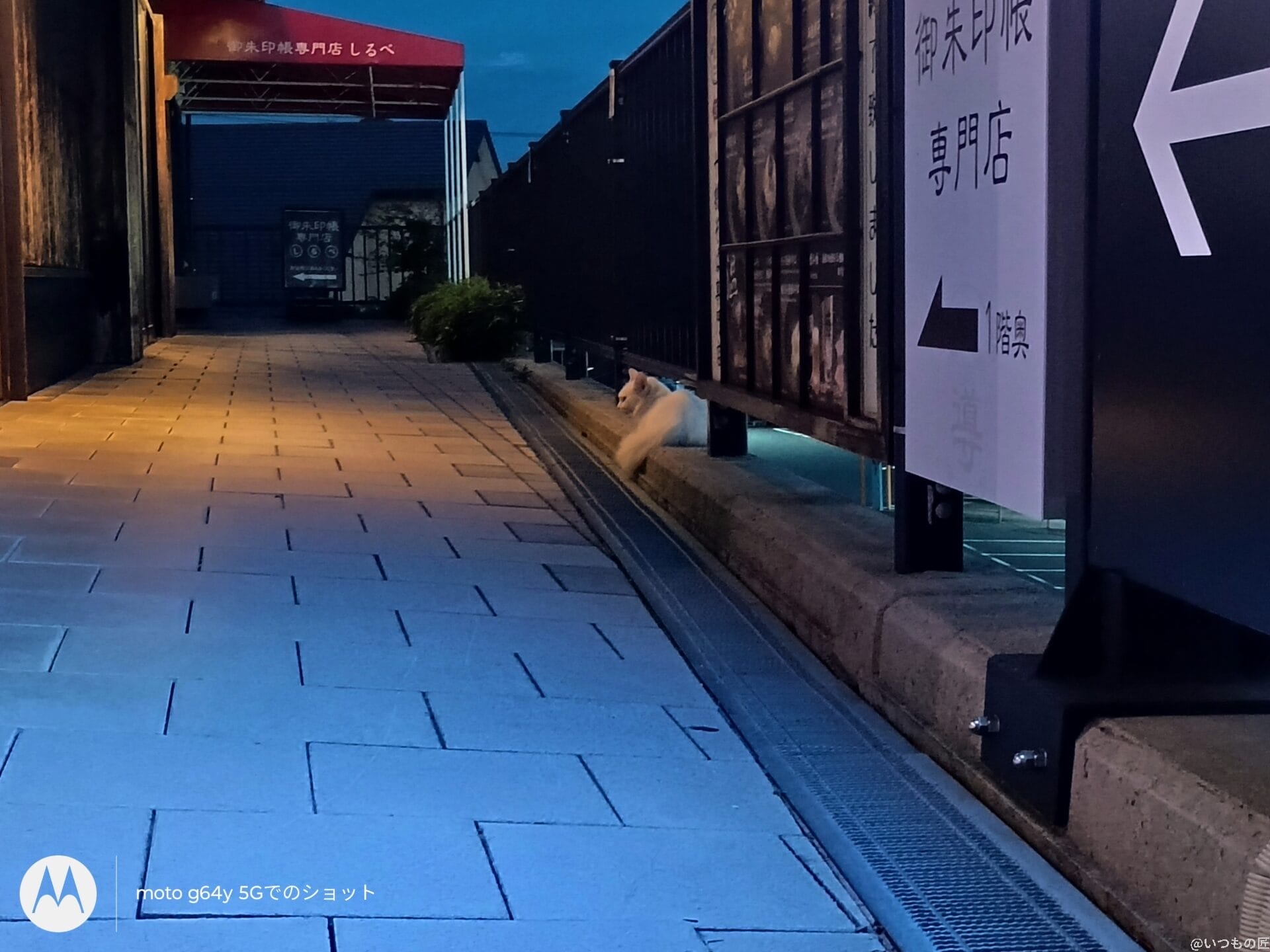 moto g64 5G カメラ
moto g64 5G カメラで暗所撮影した写真