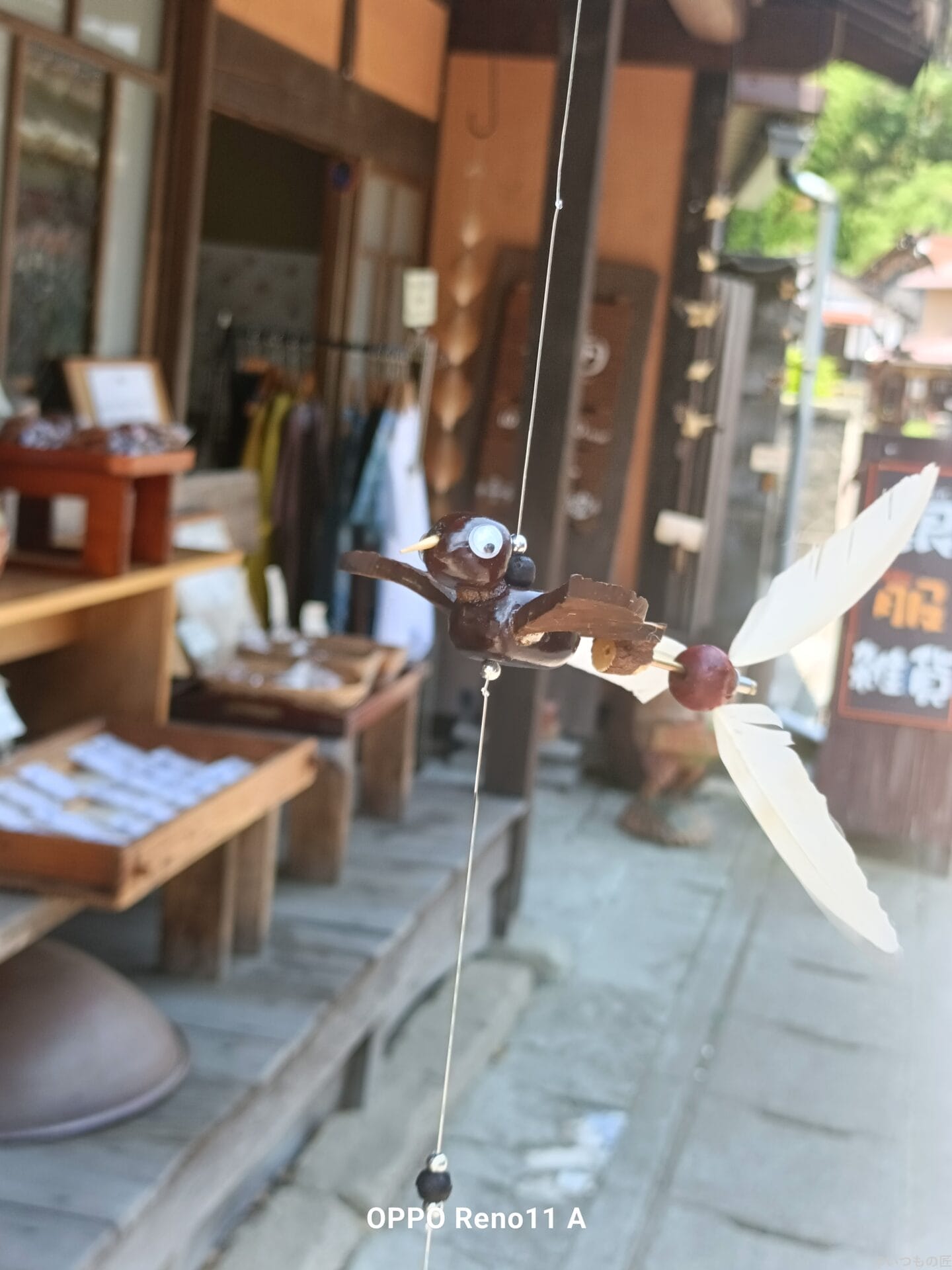 OPPO A3 5G レビュー
OPPO Reno11 A でマクロ撮影した写真