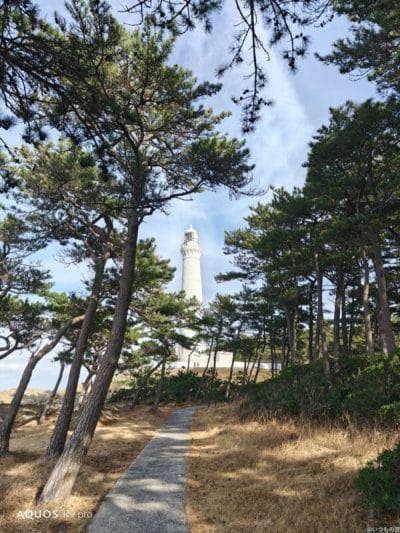 aquos r9 proでズーム撮影した写真 | モバイル比較レビュー.jp AQUOS R9 pro カメラ AQUOS R9 proでズーム撮影した写真