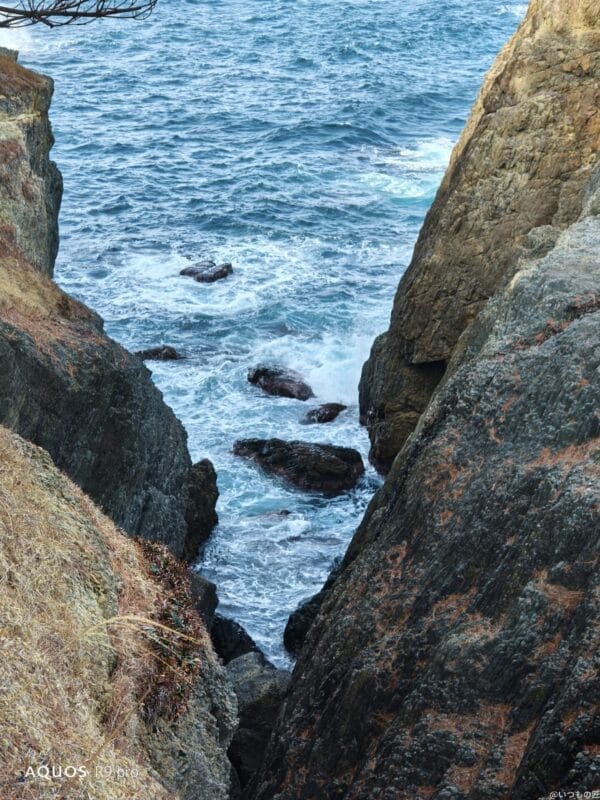 AQUOS R9 pro カメラ AQUOS R9 proで撮影した風景写真